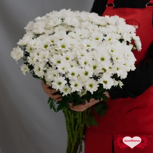 Купить хризантему «Ромашки» белую с доставкой в Благовещенске