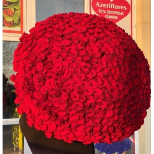 Купить охапку из 501 красной розы с доставкой в Благовещенске