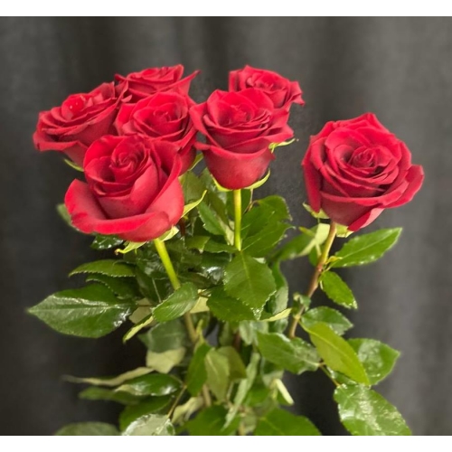 Купить красную розу с доставкой в Благовещенске